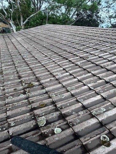 roof clean before edit 2 roof clean before edit 2